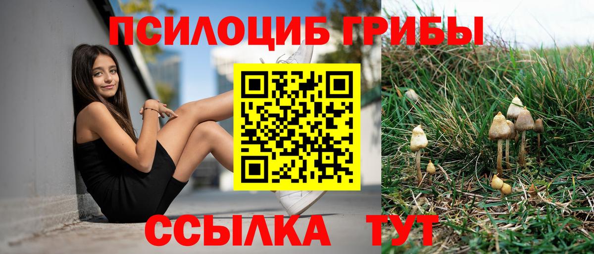 Королёв  Псилоцибиновые грибы Magic Shrooms  Вход с VPN  Псилоцибиновые грибы мухоморы 